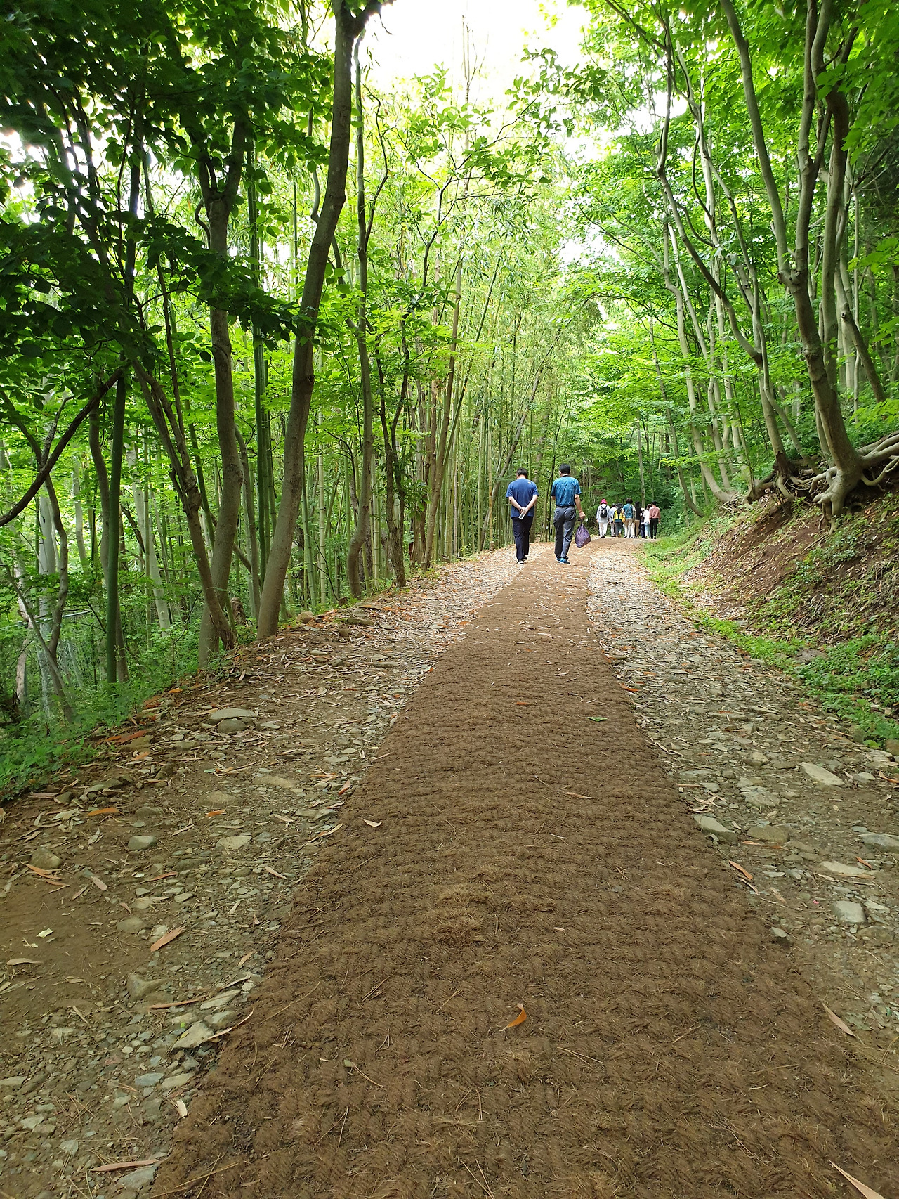 09화 산책