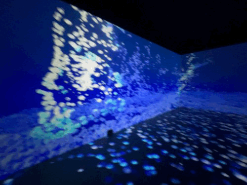 n0Z_MSH4Rfx6-ZRsin1ZI6SaABI.gif