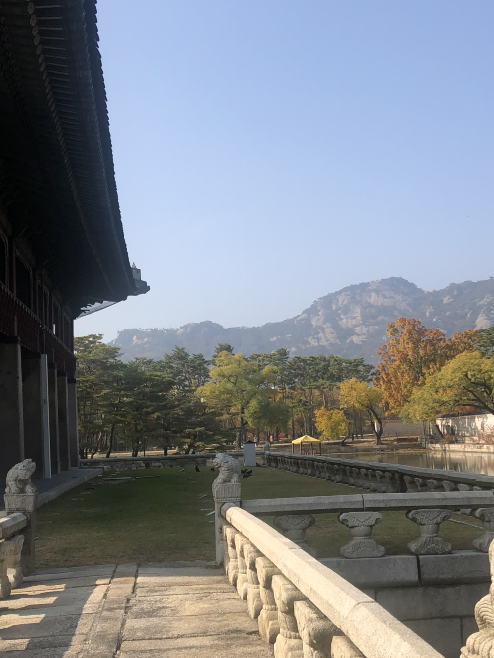 01화 [박정민의 수다다방] 3월의 라이온