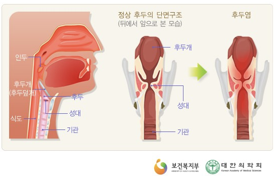 슬롯사이트 보스