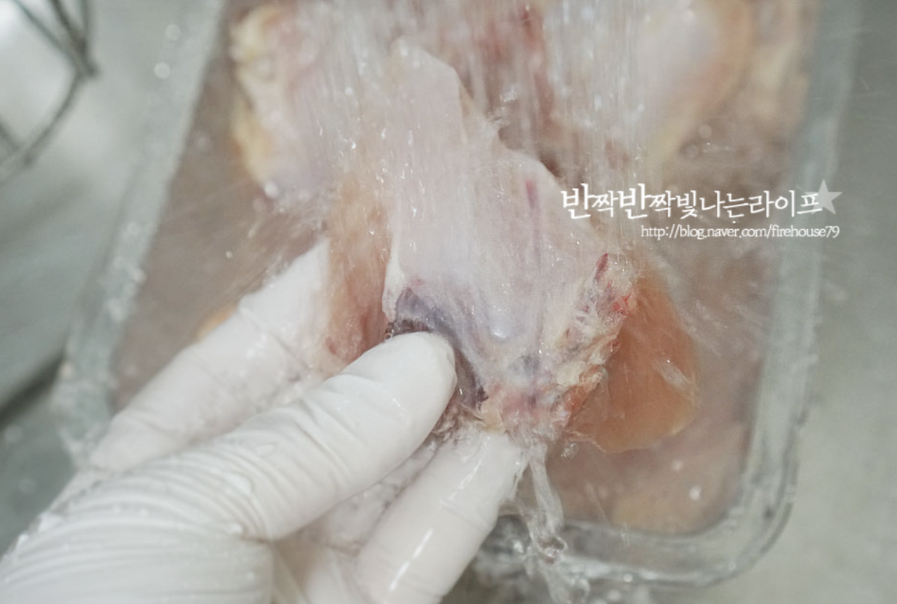 무료 카지노 게임