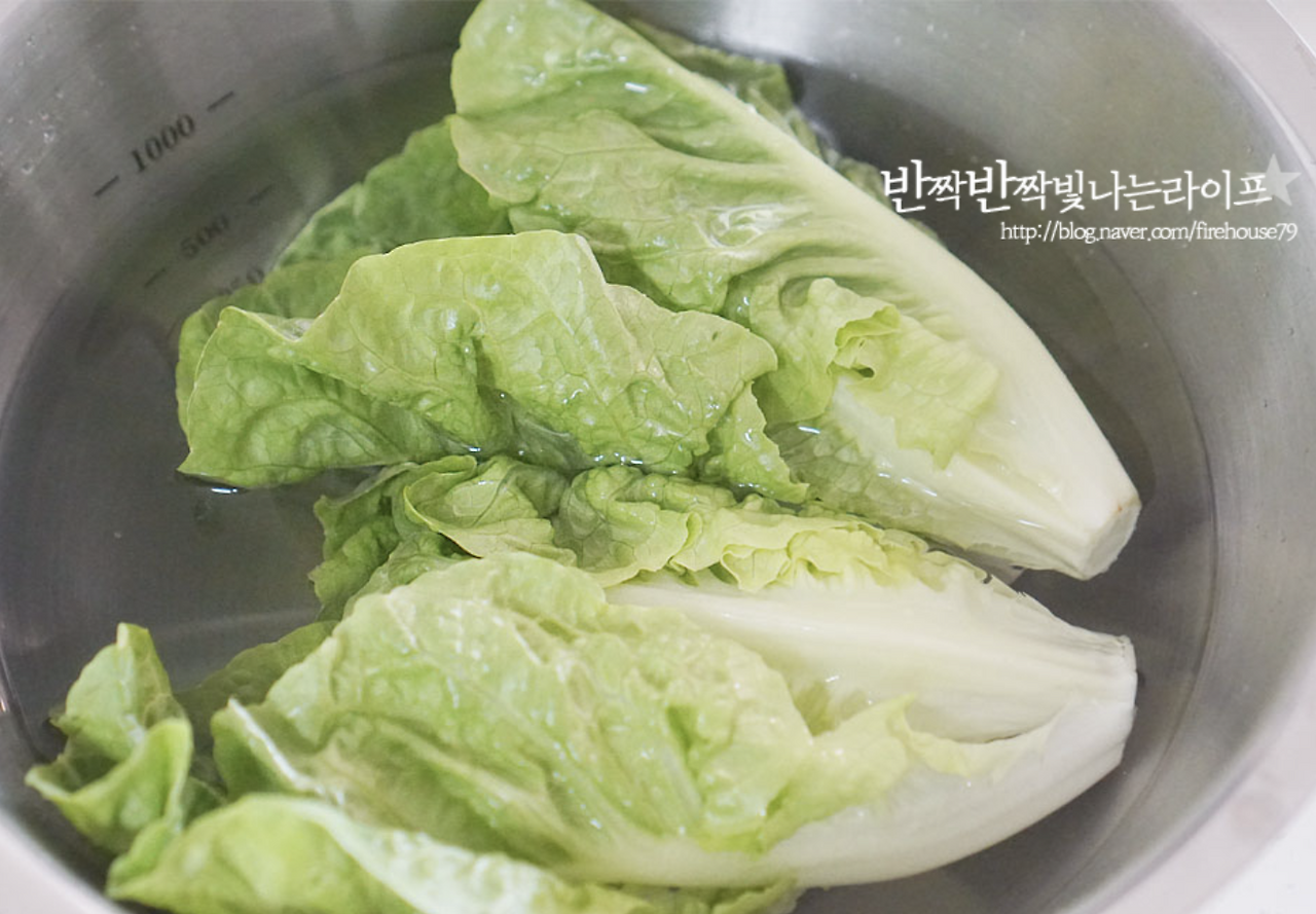 무료 카지노 게임