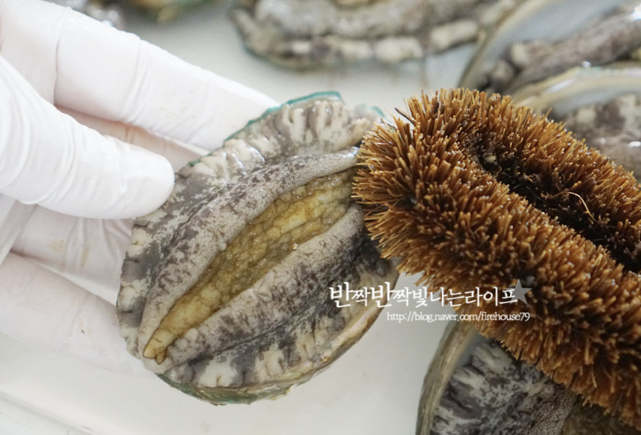 카지노 쿠폰