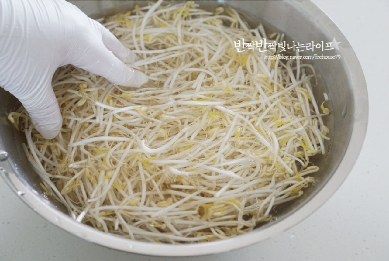 온라인 카지노 게임