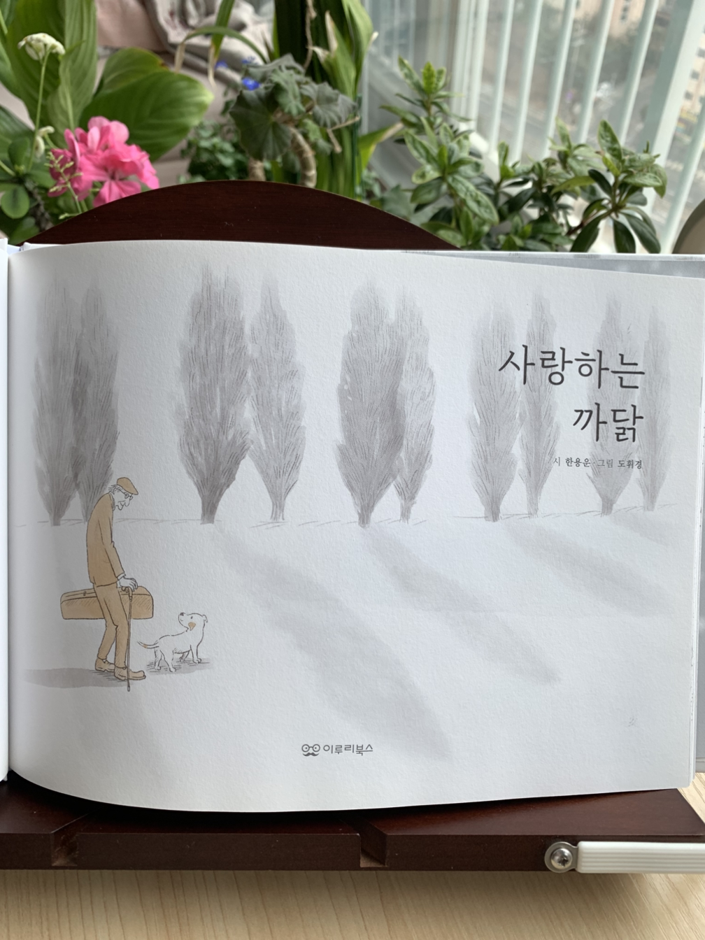 카지노 게임 사이트