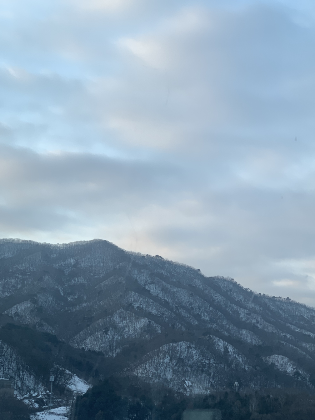 카지노 게임 추천