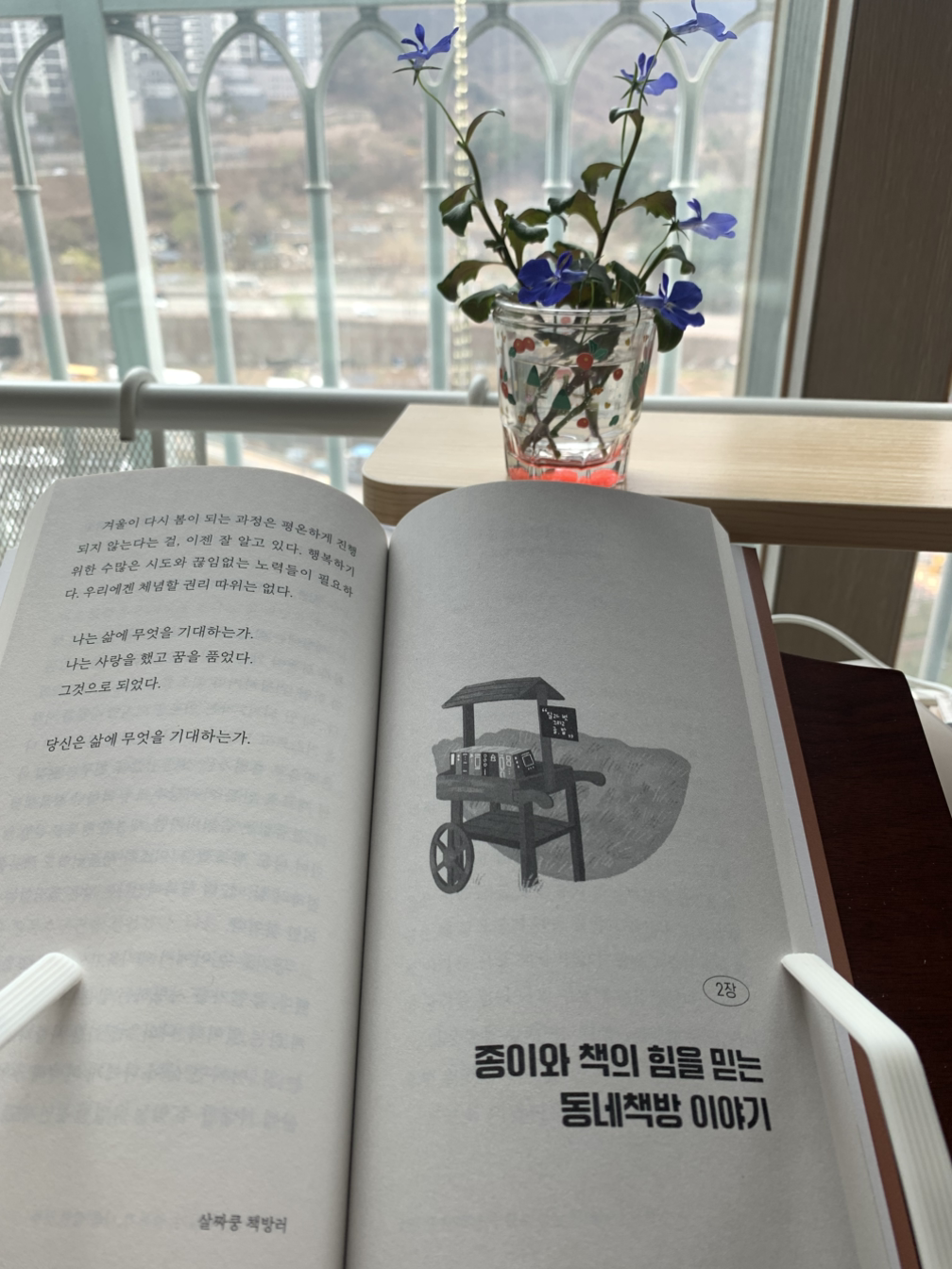 카지노 게임