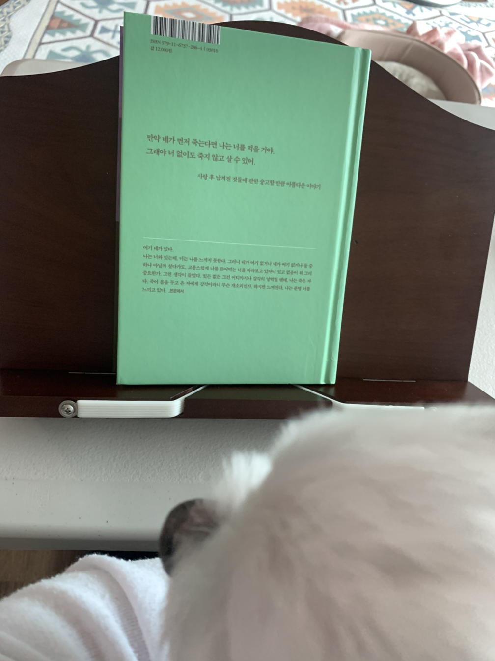 카지노 쿠폰
