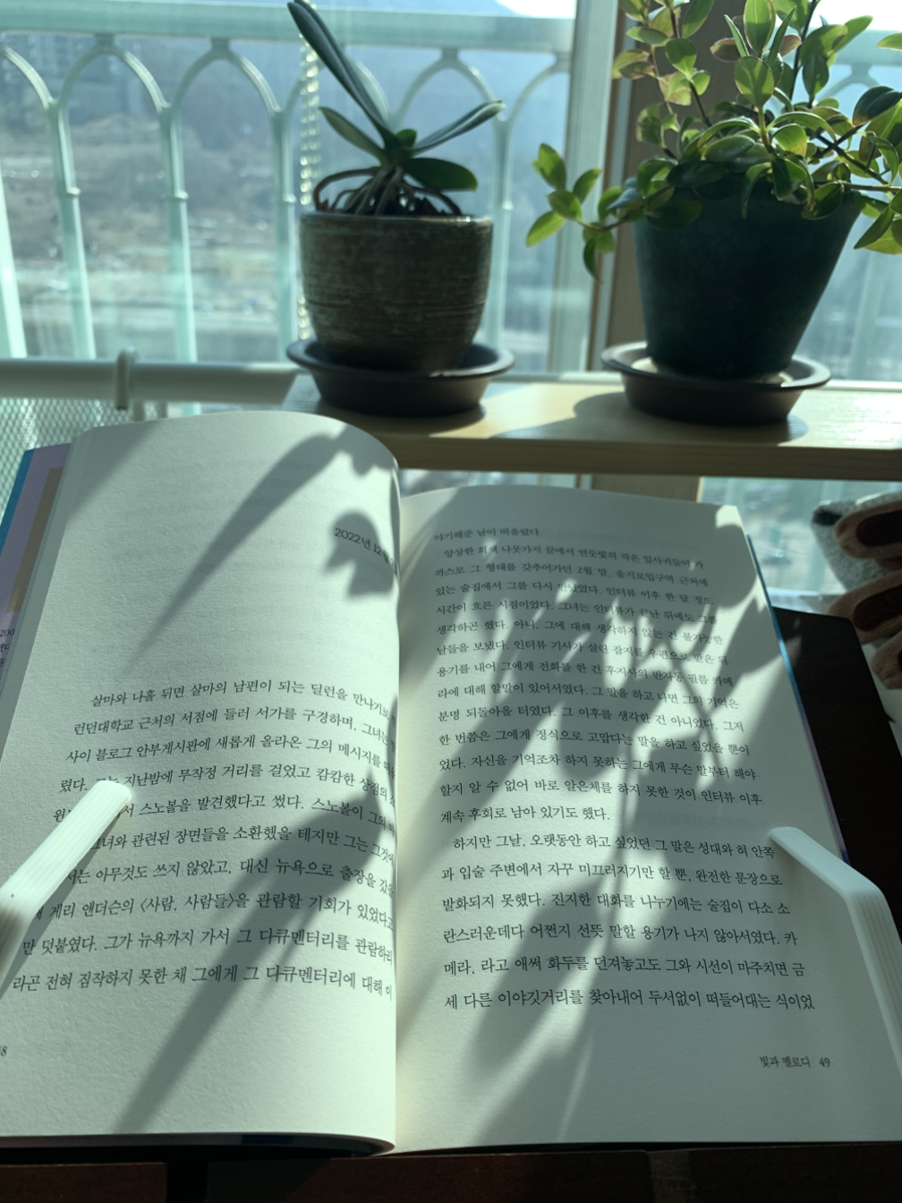 카지노 쿠폰