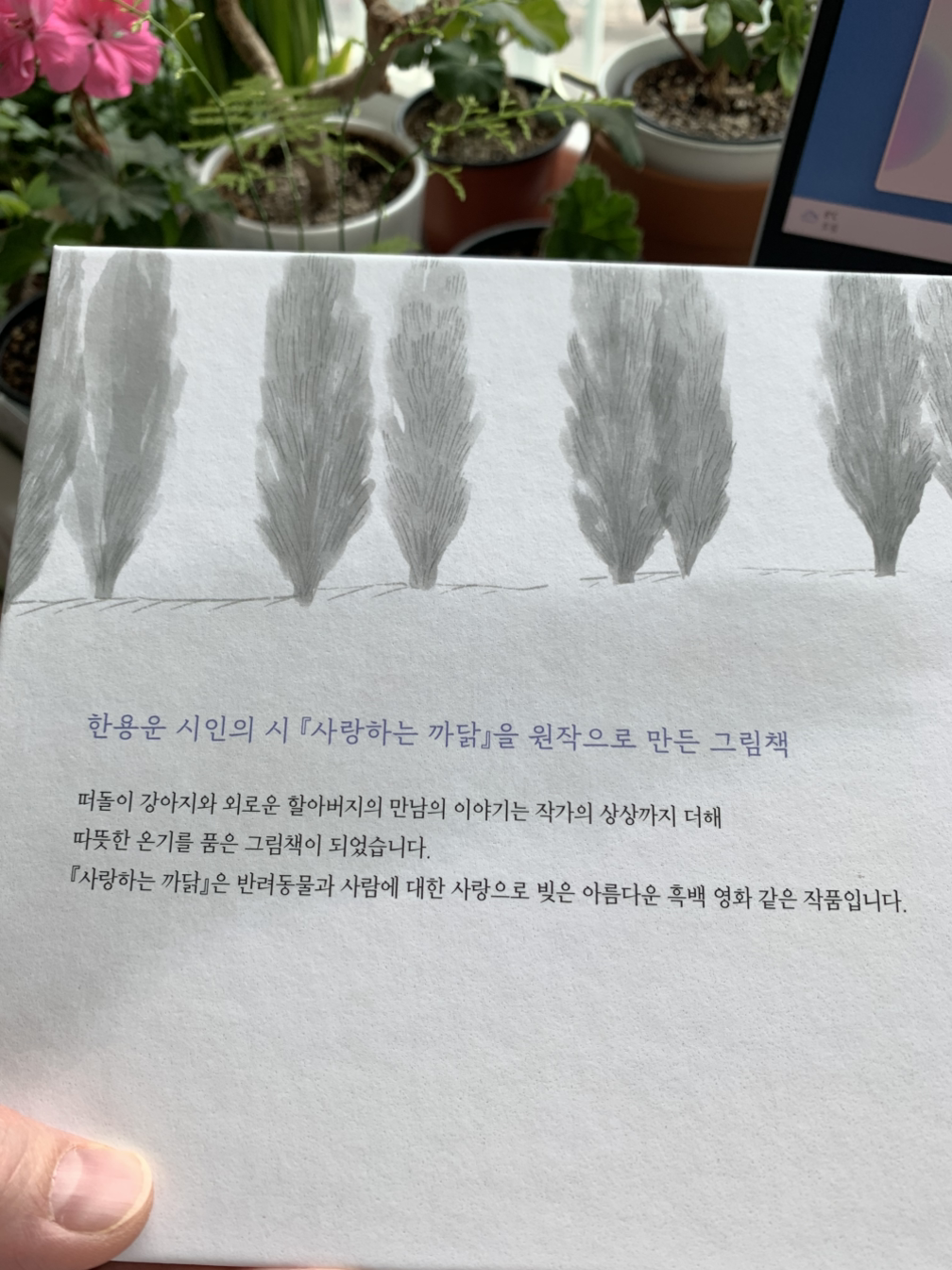 카지노 게임 사이트