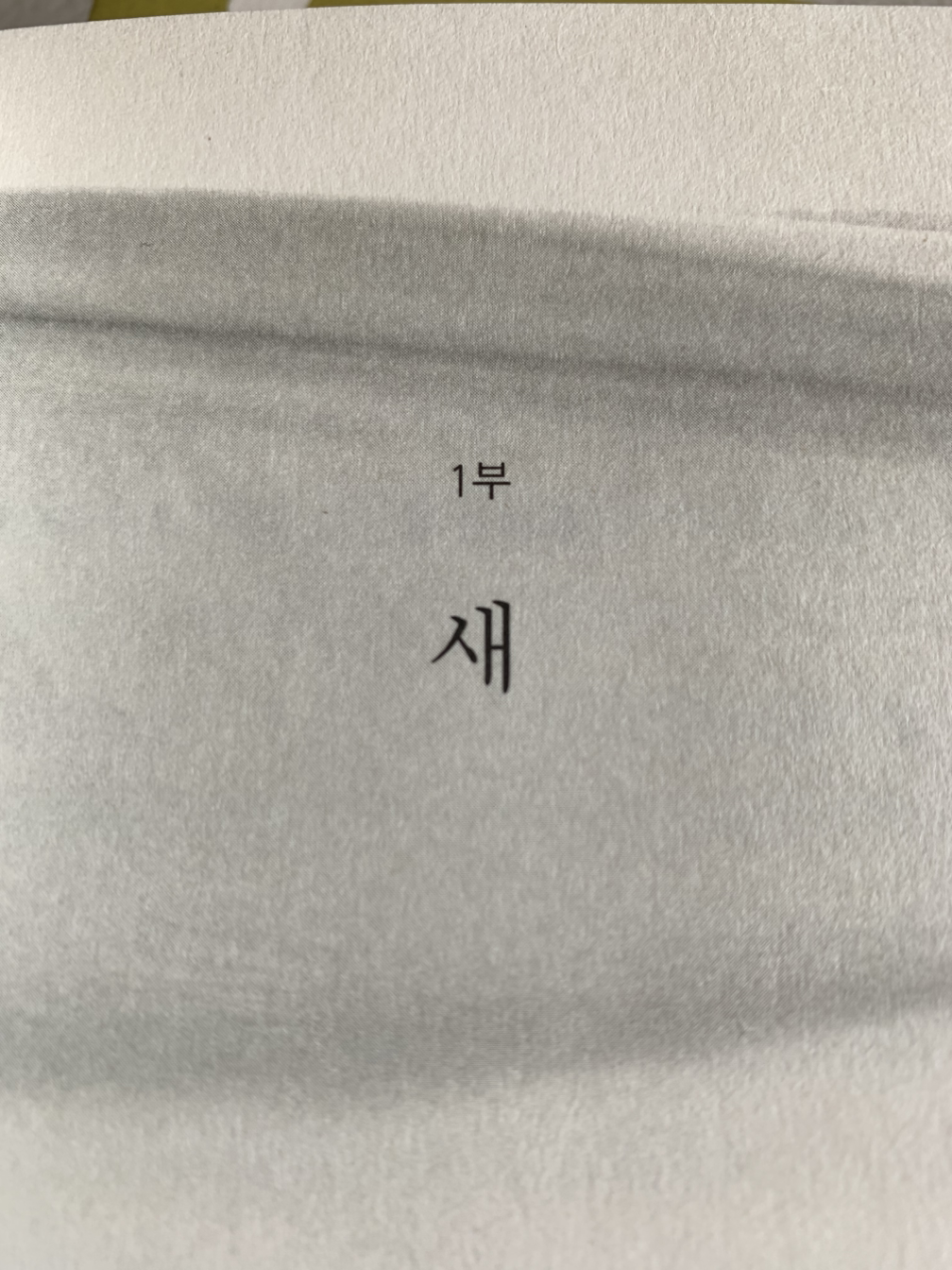카지노 쿠폰