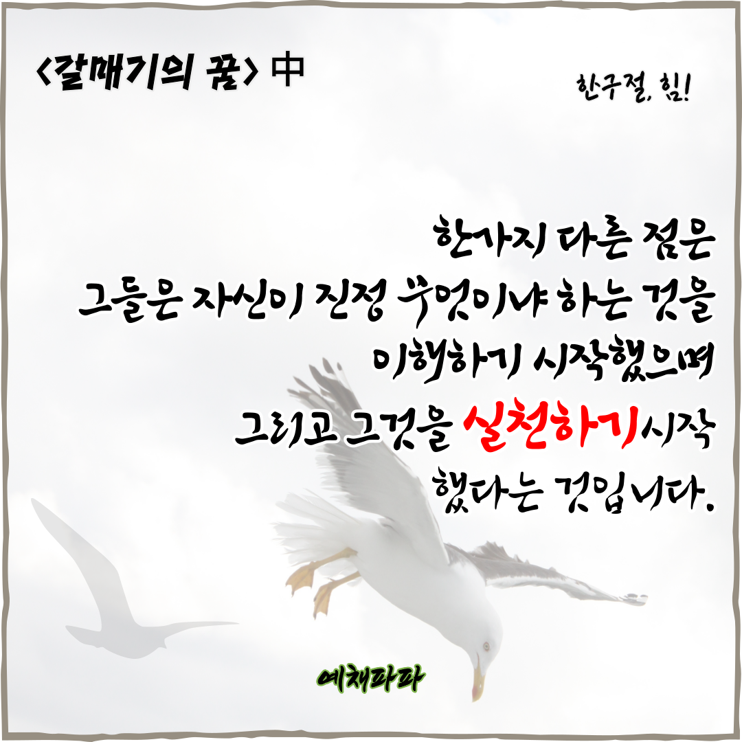 갈매기의 꿈] _ 실천