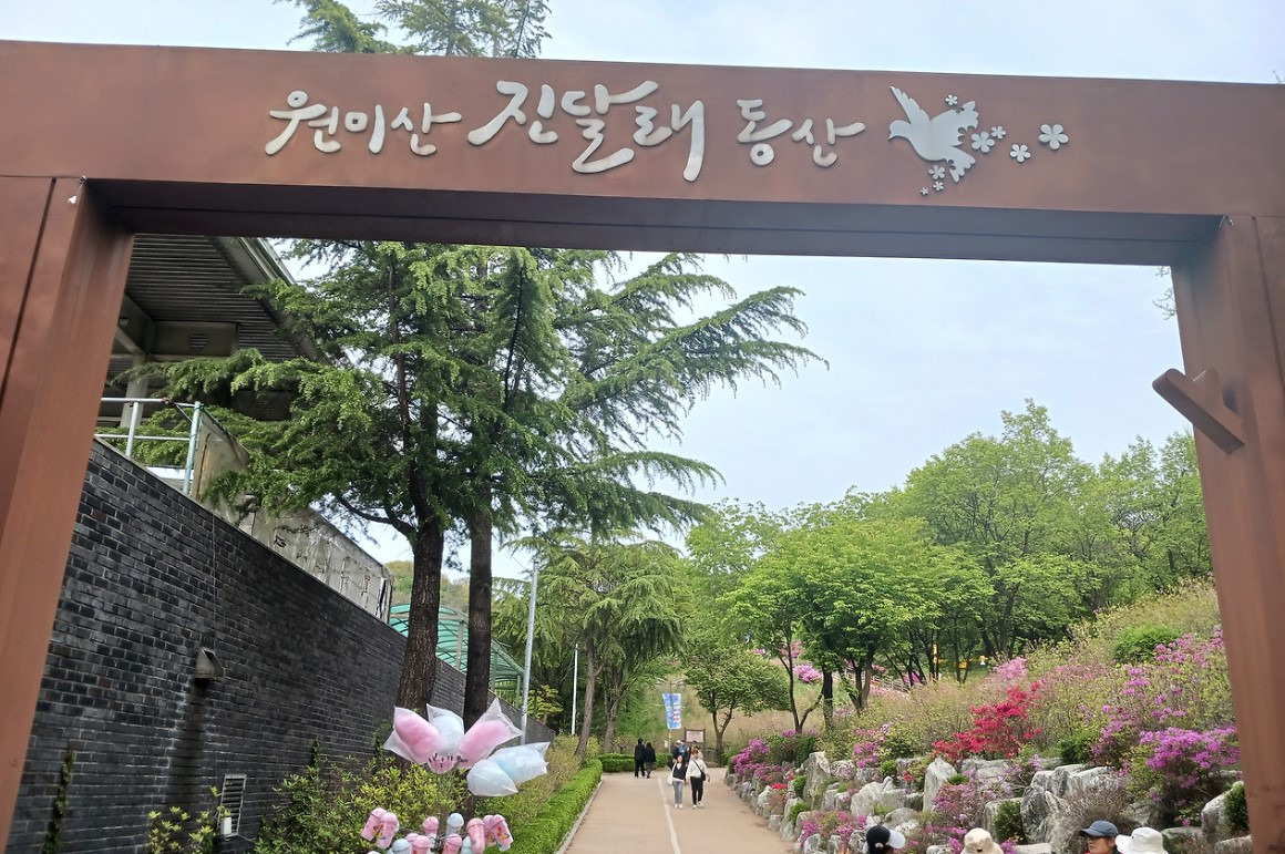 노이의 명소탐방(부천 진달래 동산)