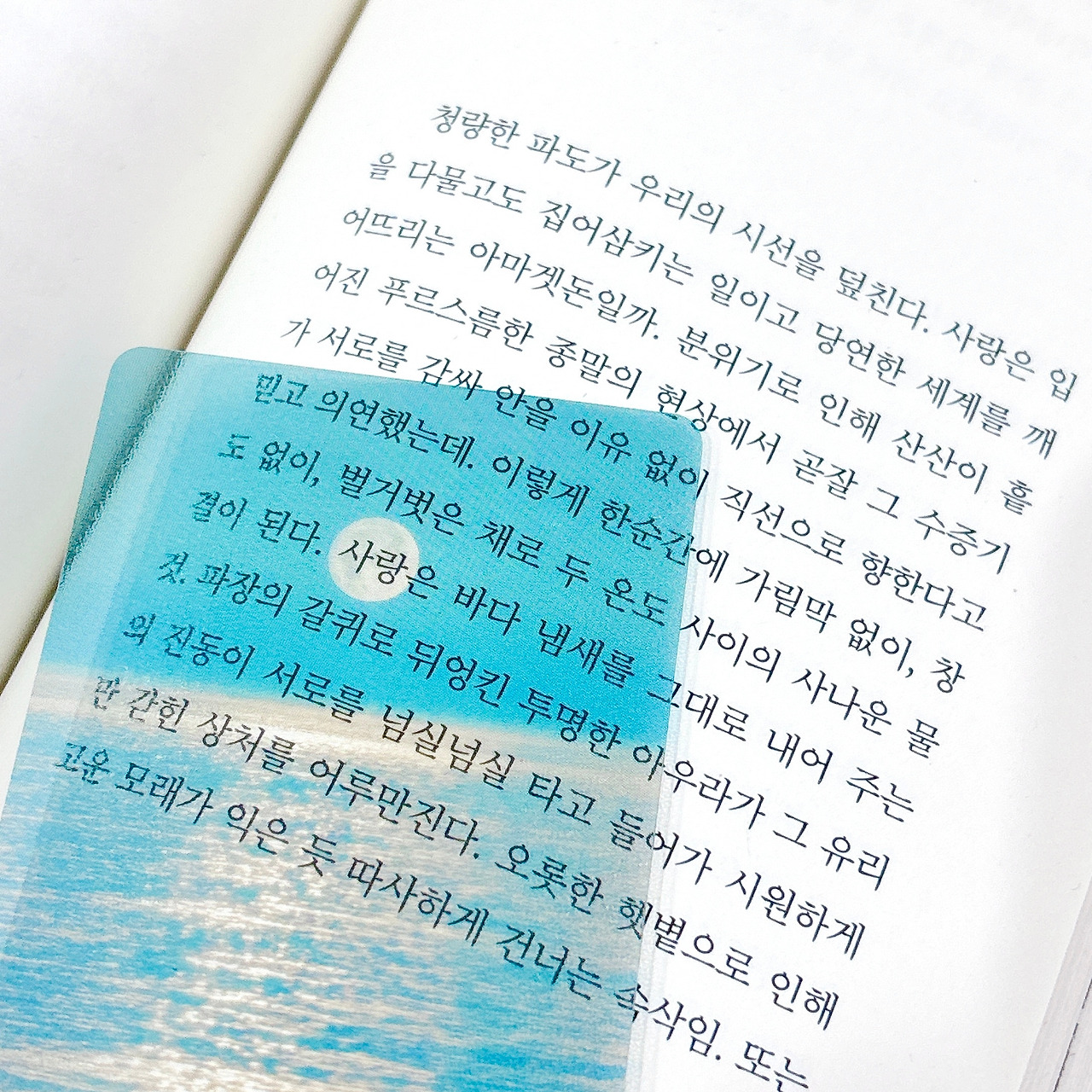 카지노 게임 사이트