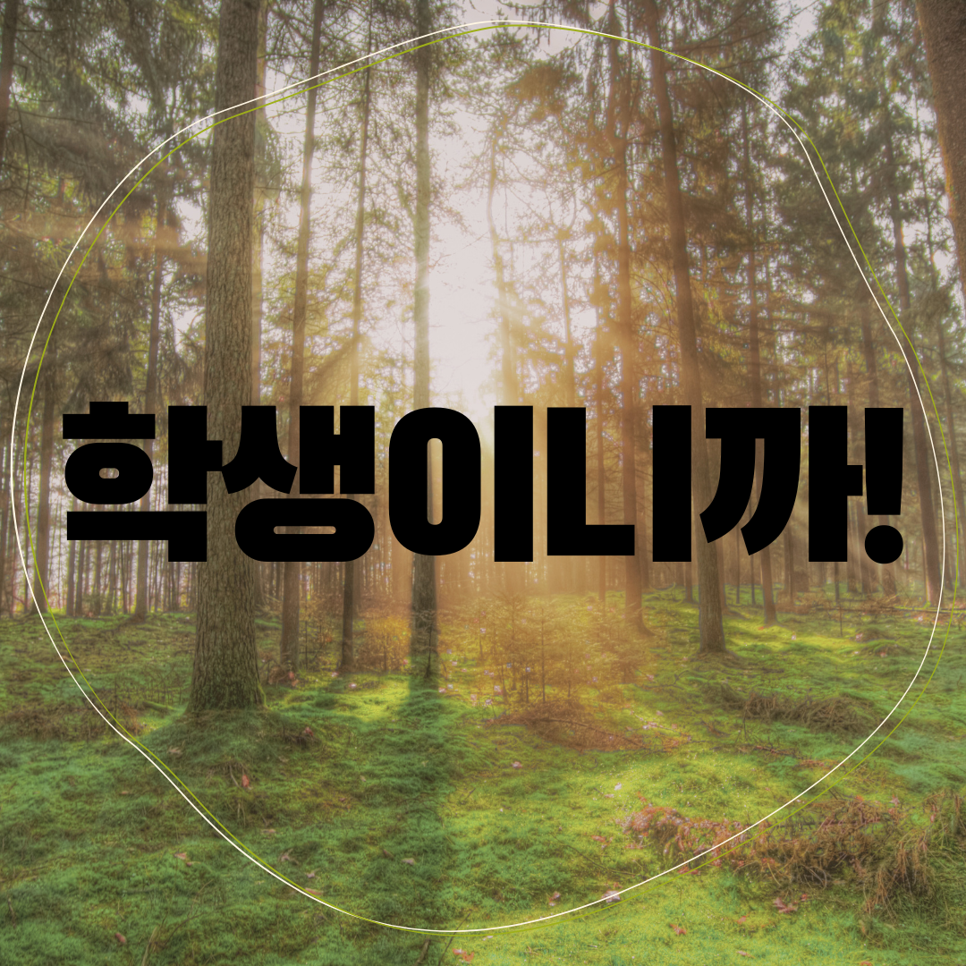 페가수스 카지노