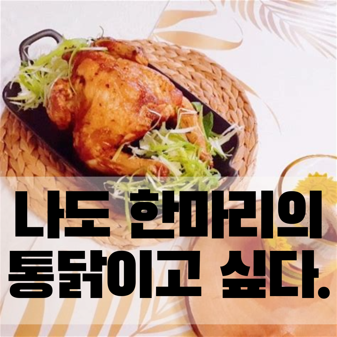 레드벨벳 토토