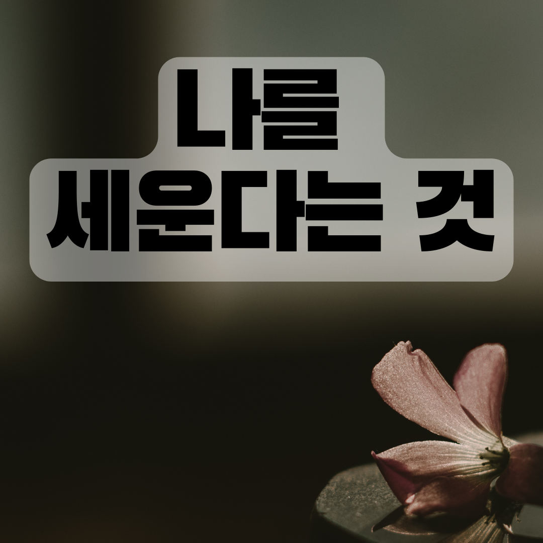 온라인 카지노 합법 사이트