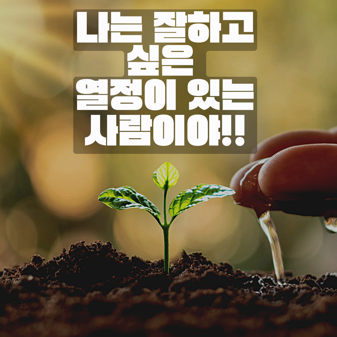 온라인카지노