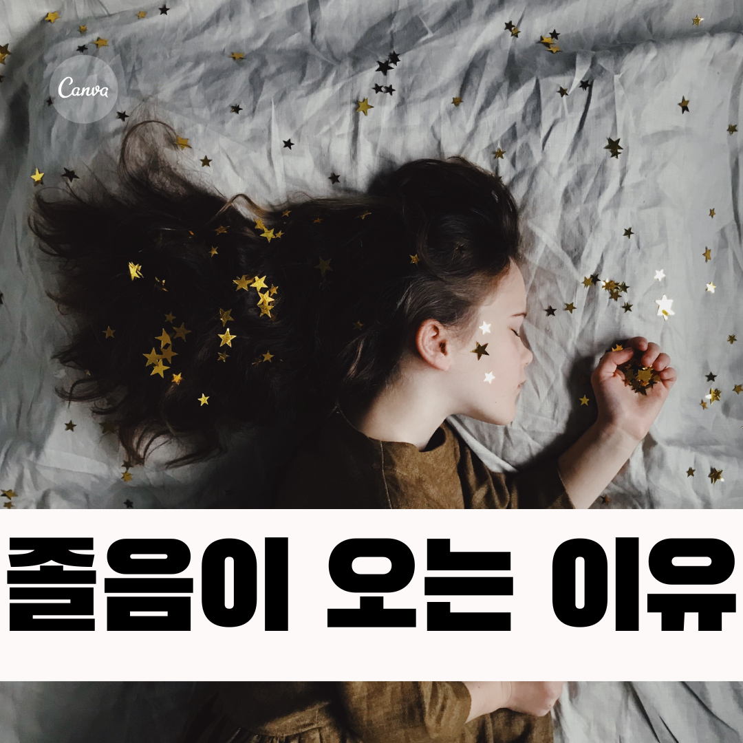 레드불토토