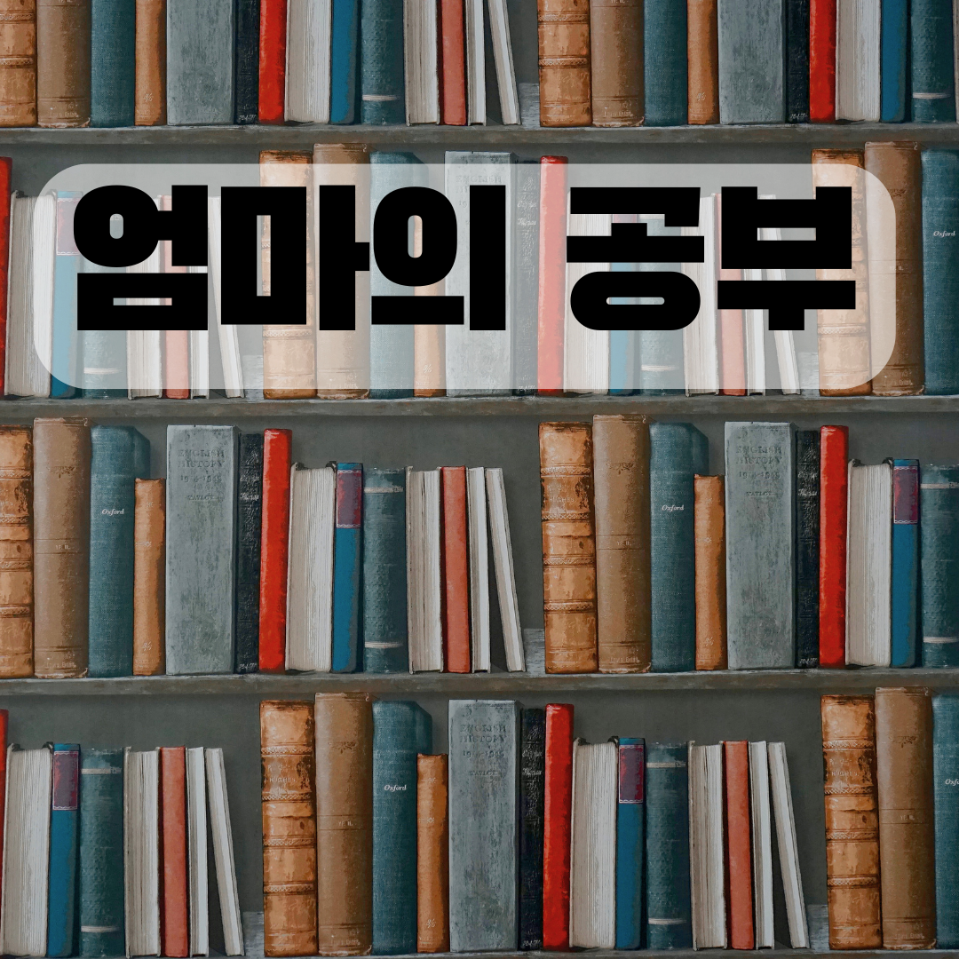 카지노 워