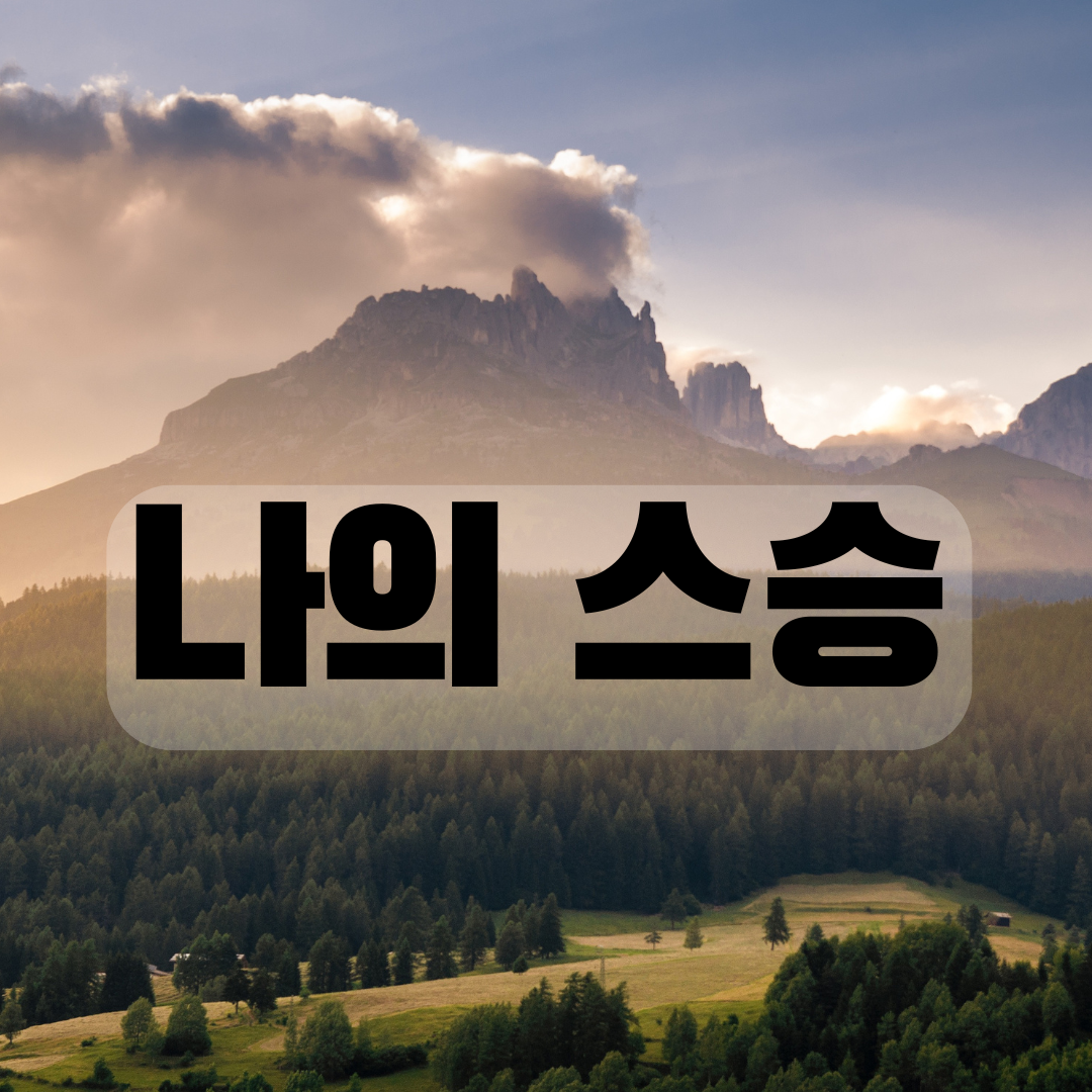 프리미엄 토토