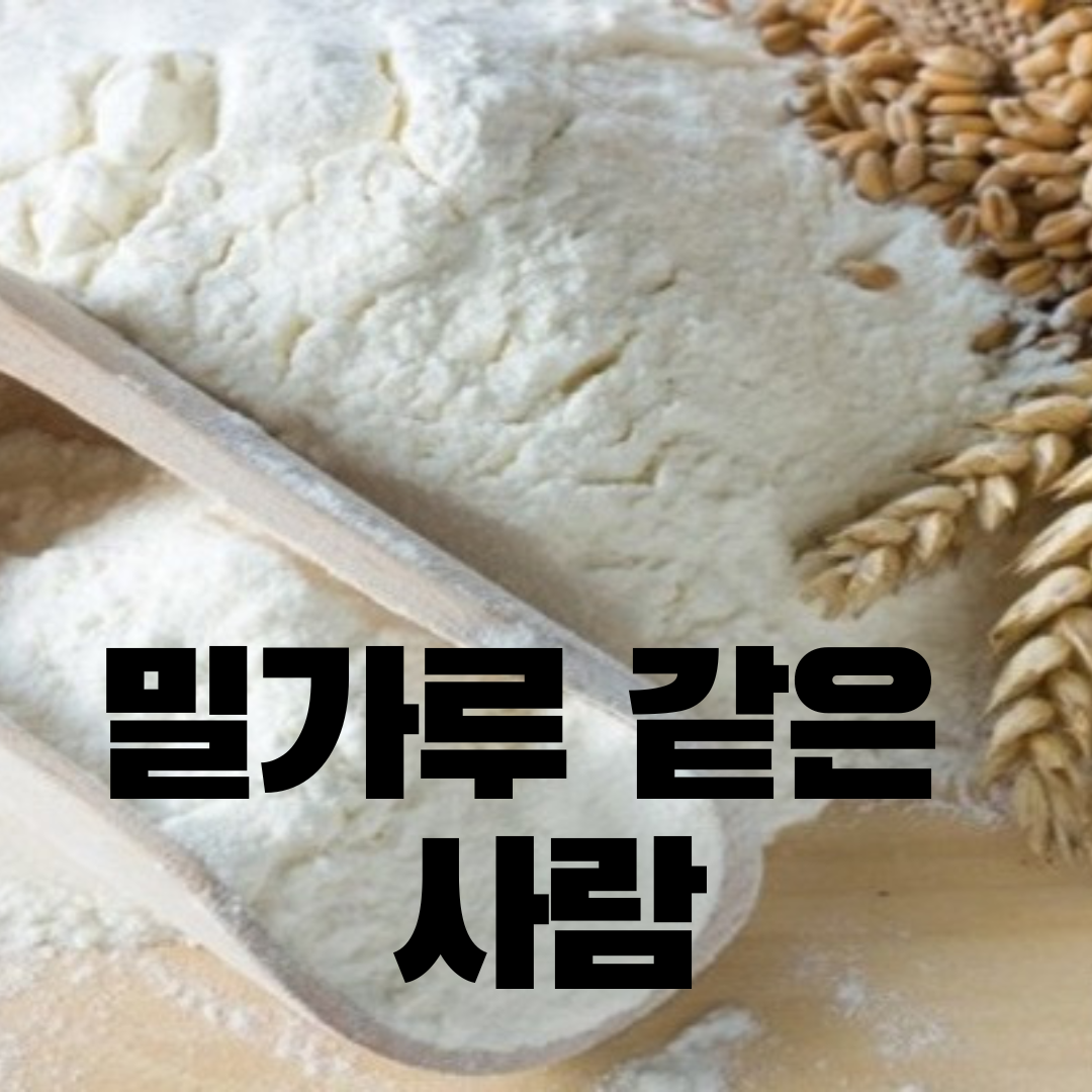 킹카지노