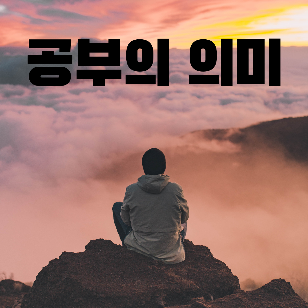 쇼미더벳