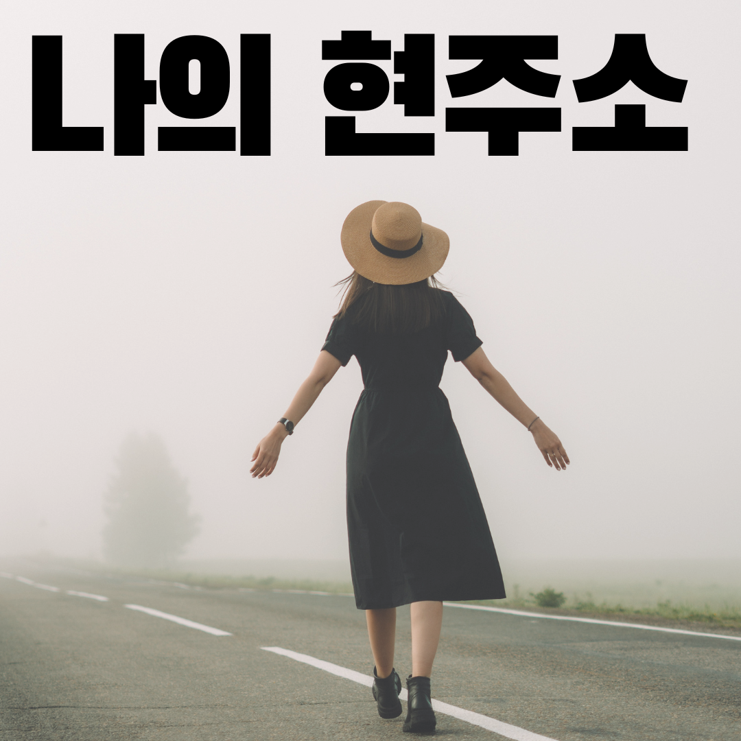 기부벳