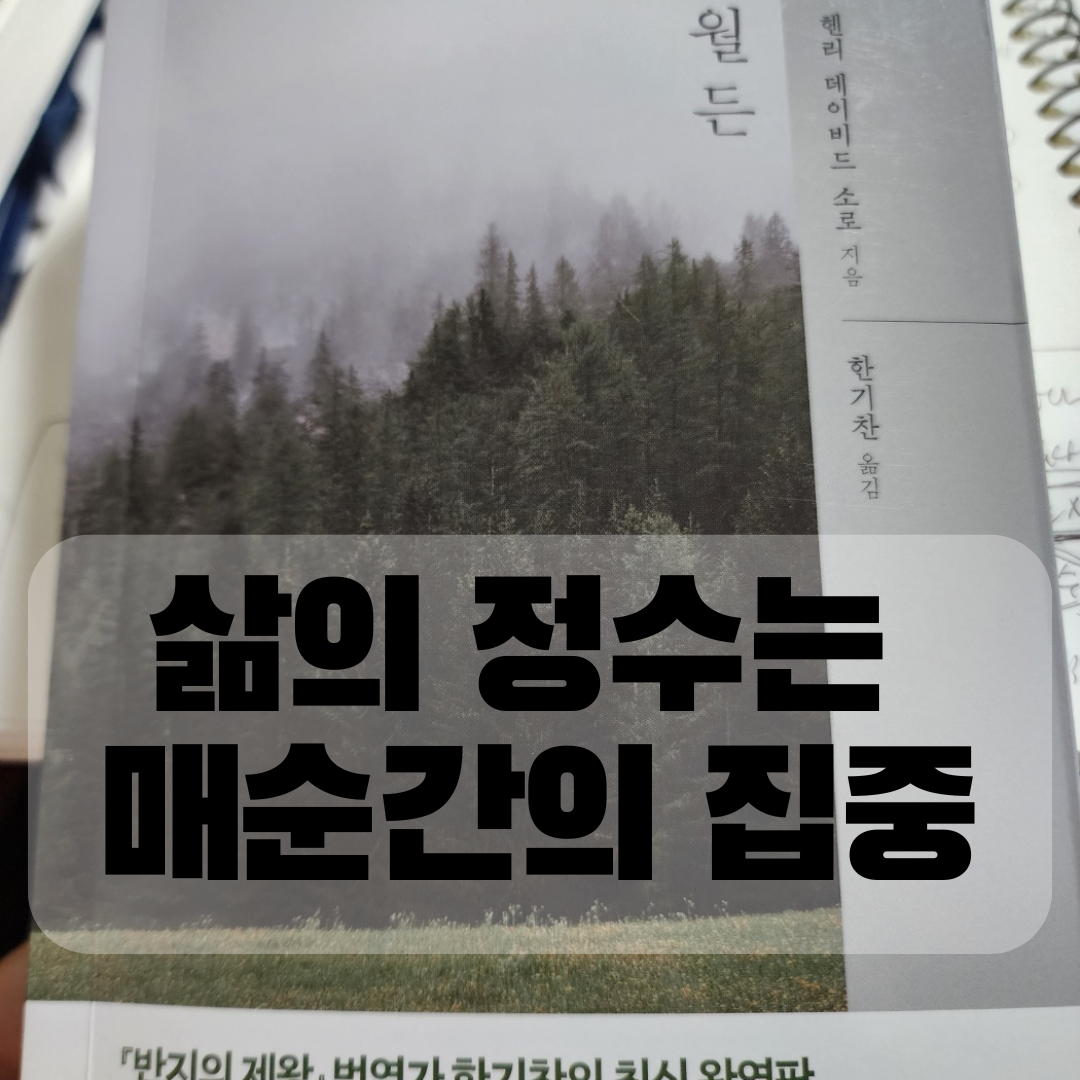 블랙토토