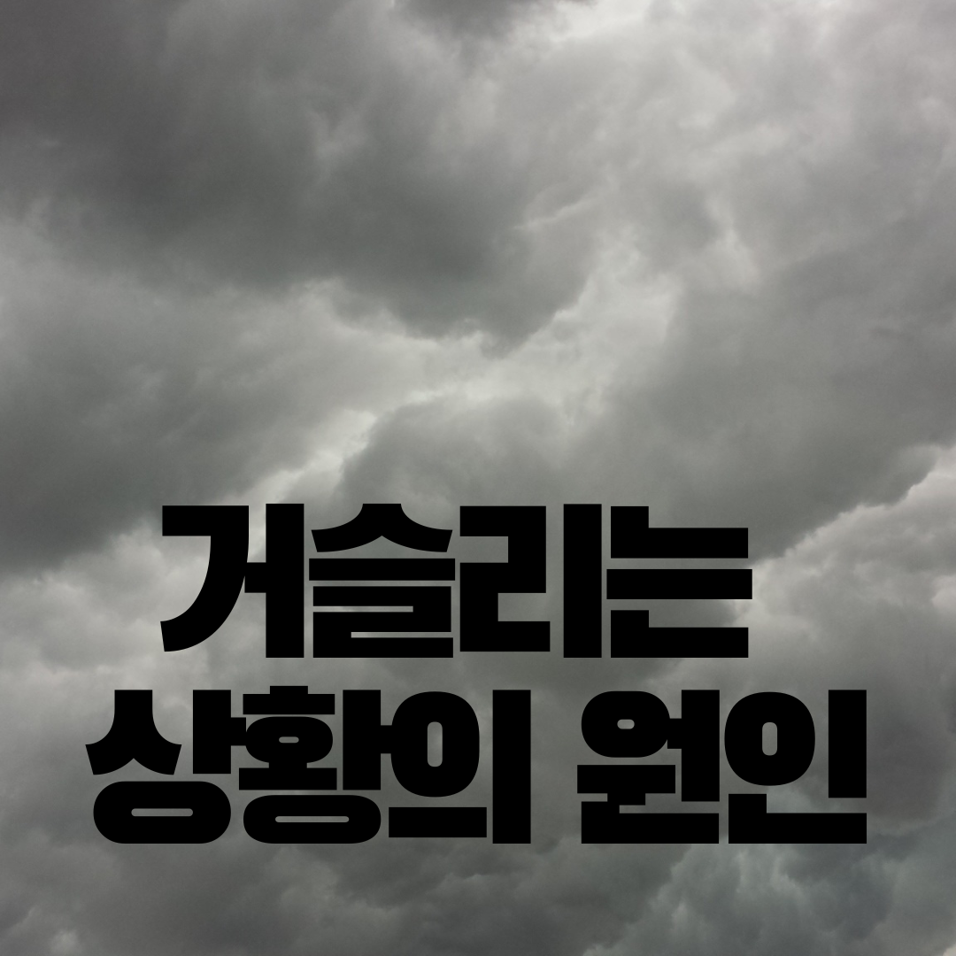 온라인바카라