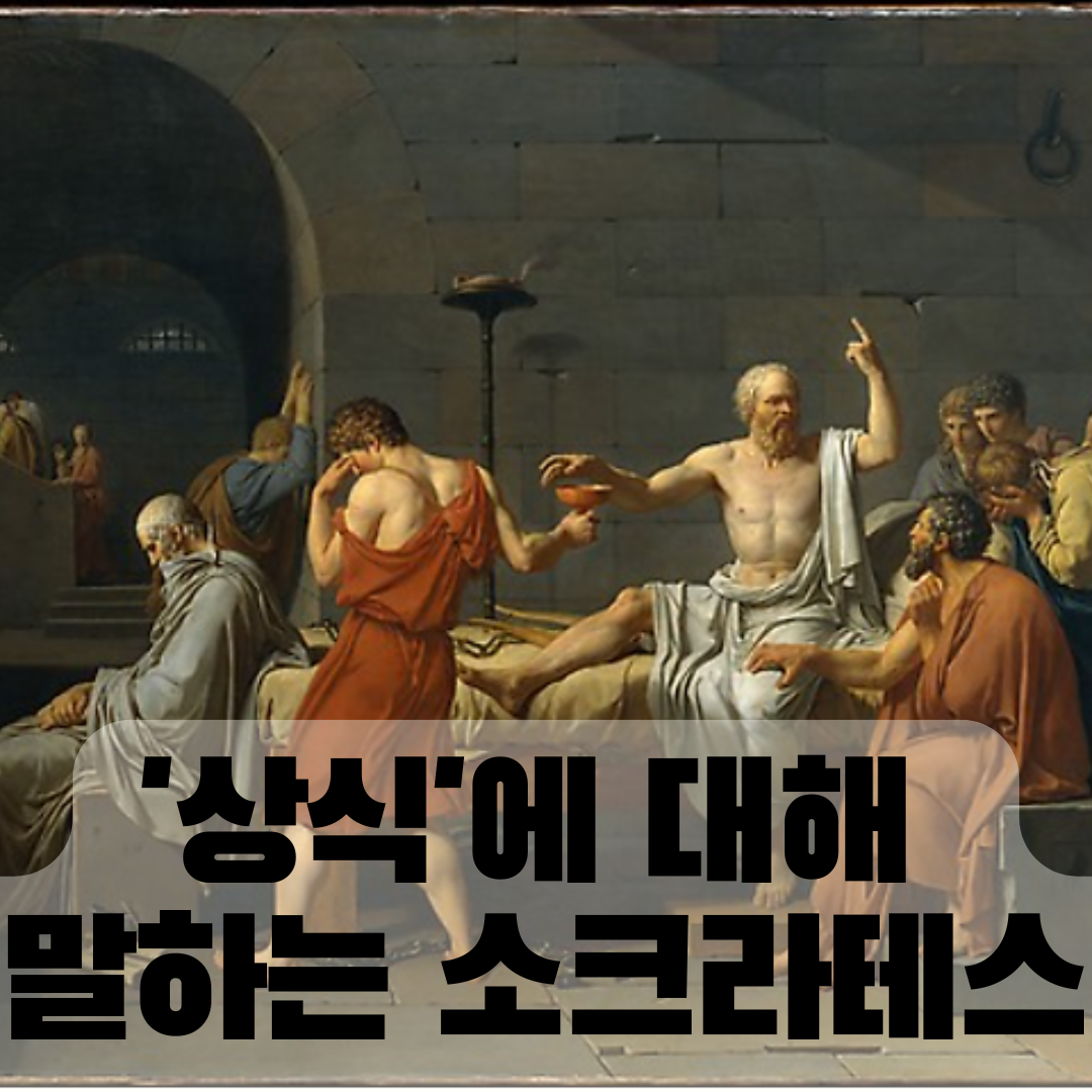 라이브바카라