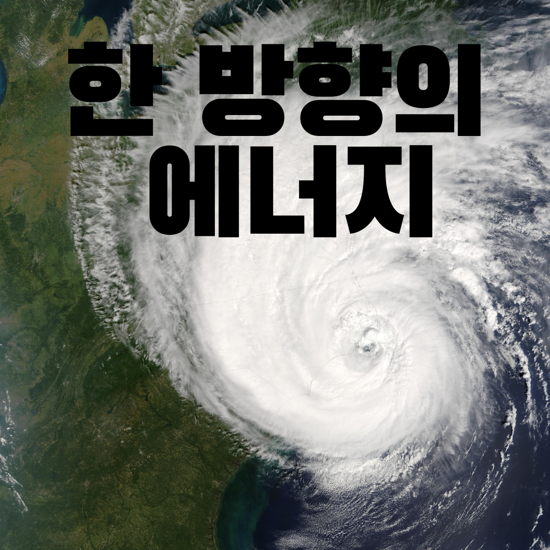 쇼미더벳