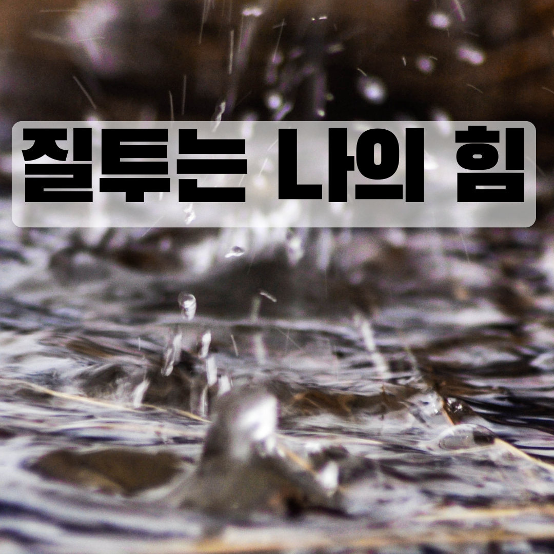 카지노 게임 사이트