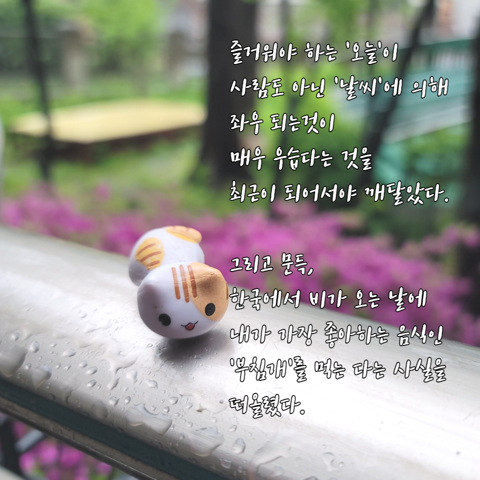 벳위즈