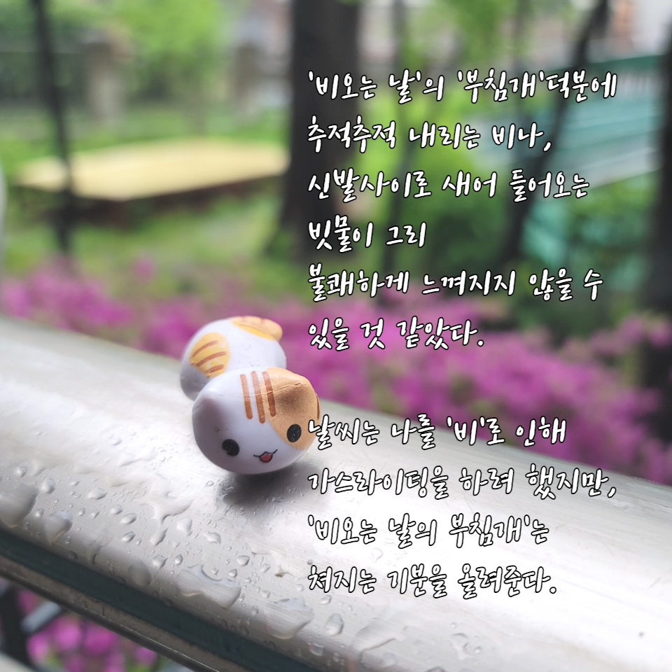 벳위즈