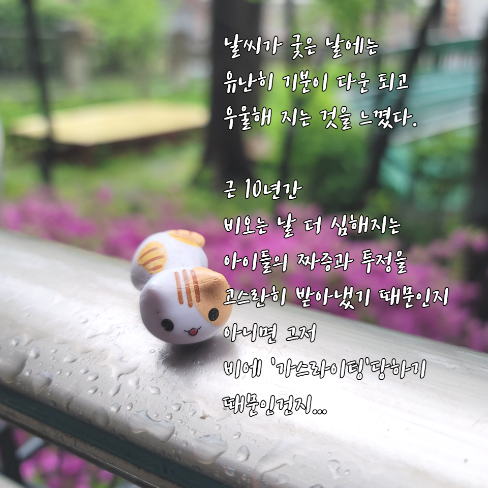 벳위즈