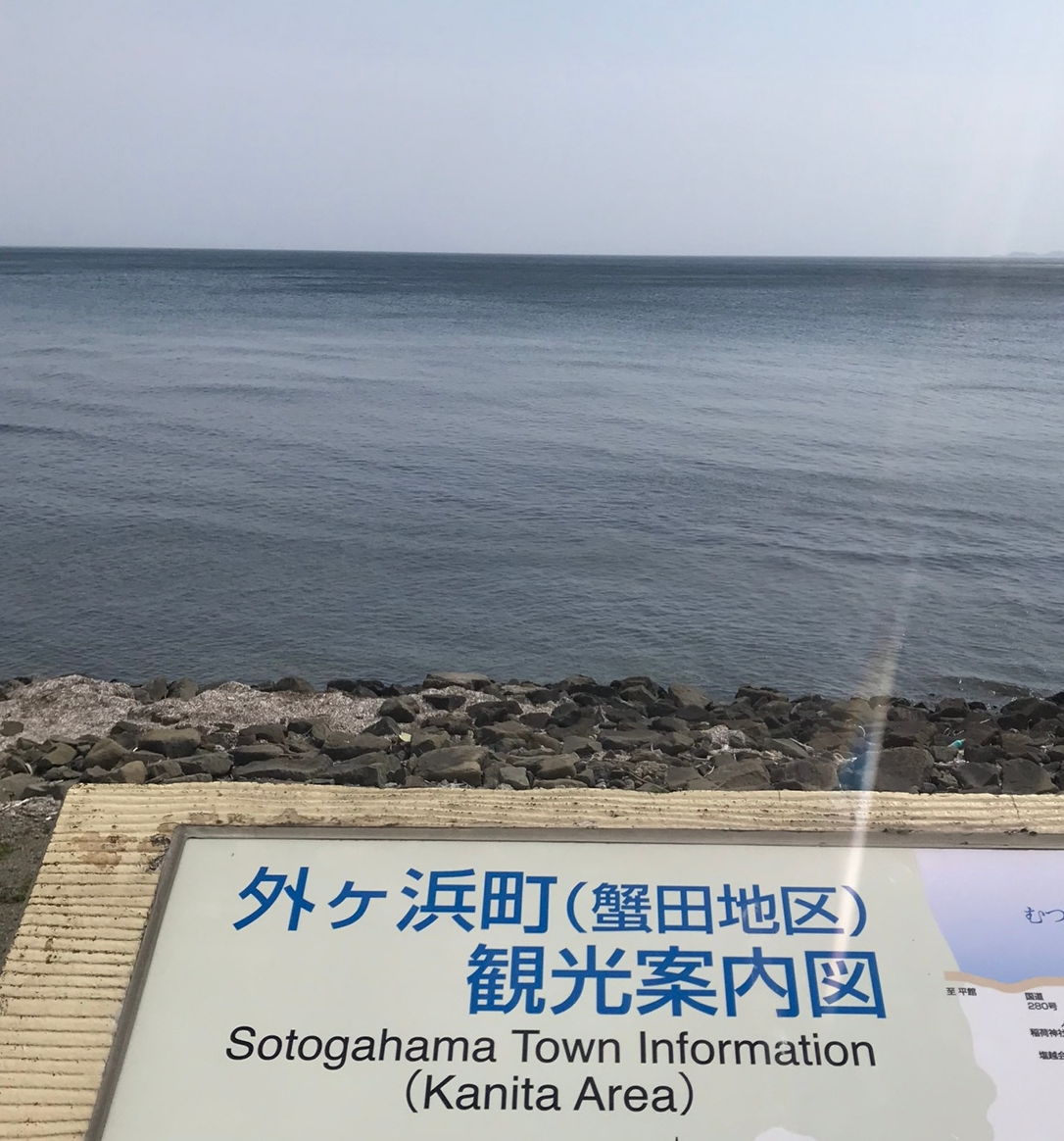 카지노 게임 추천