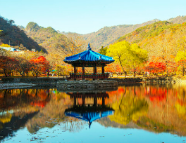 무료 카지노 게임