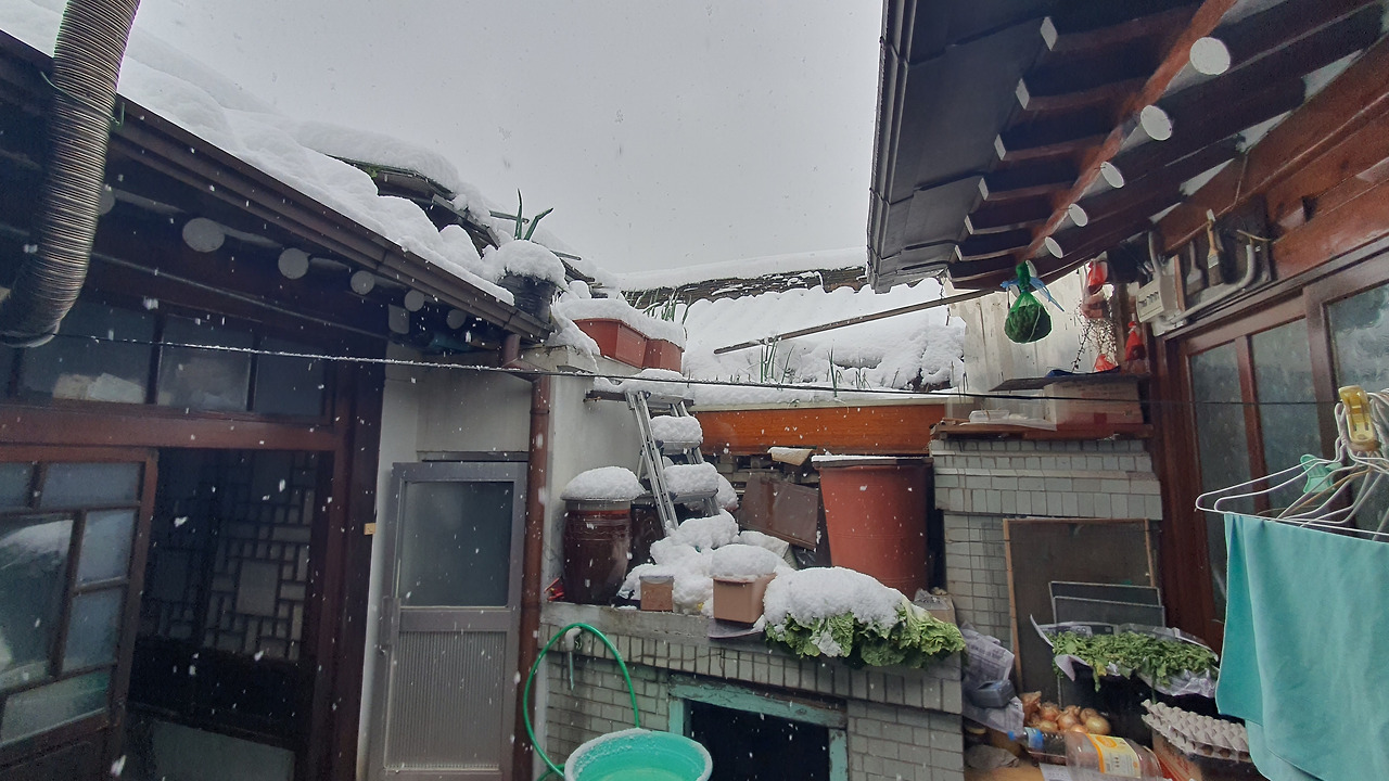 카지노 게임 사이트
