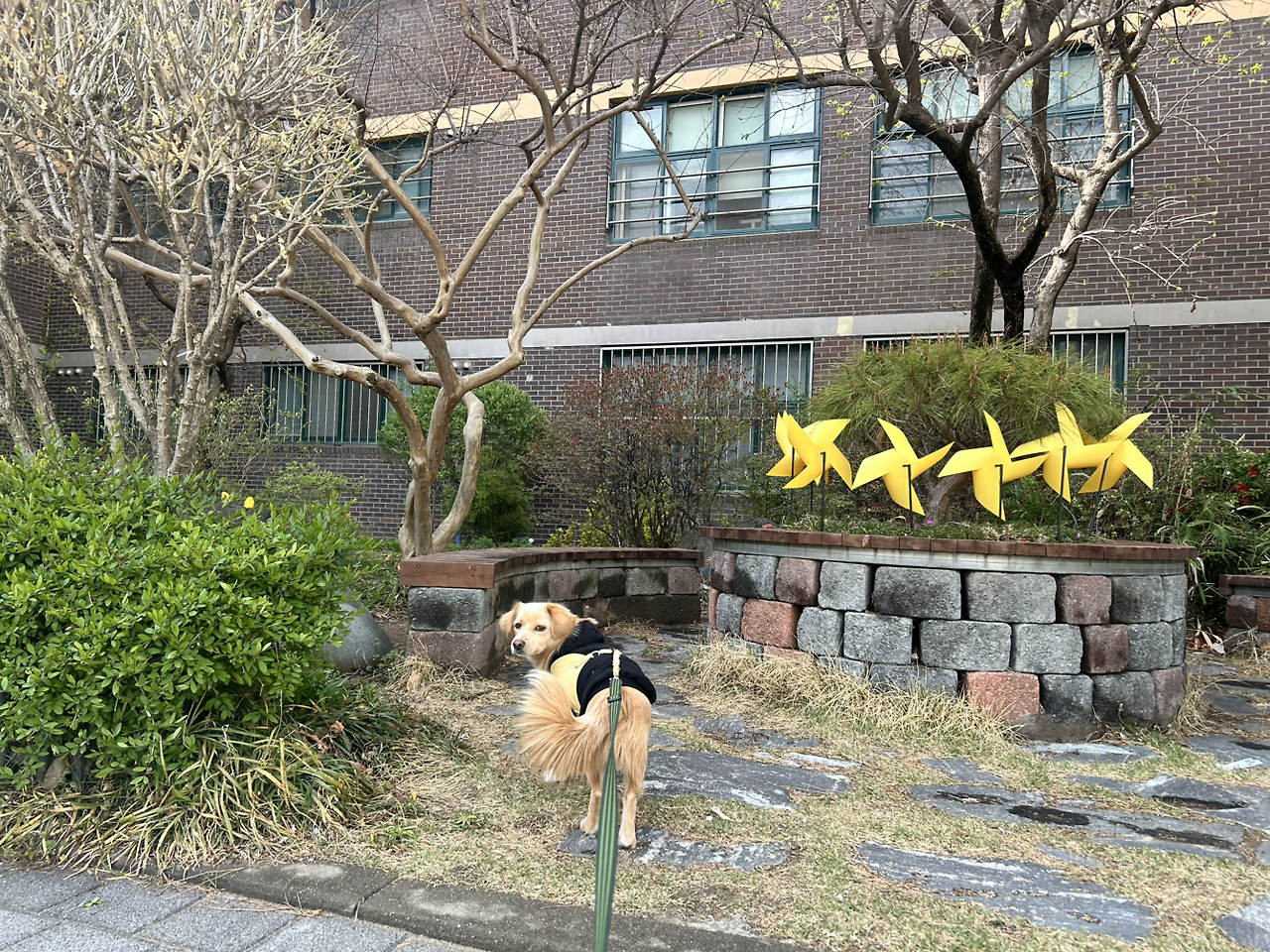 카지노 게임 사이트