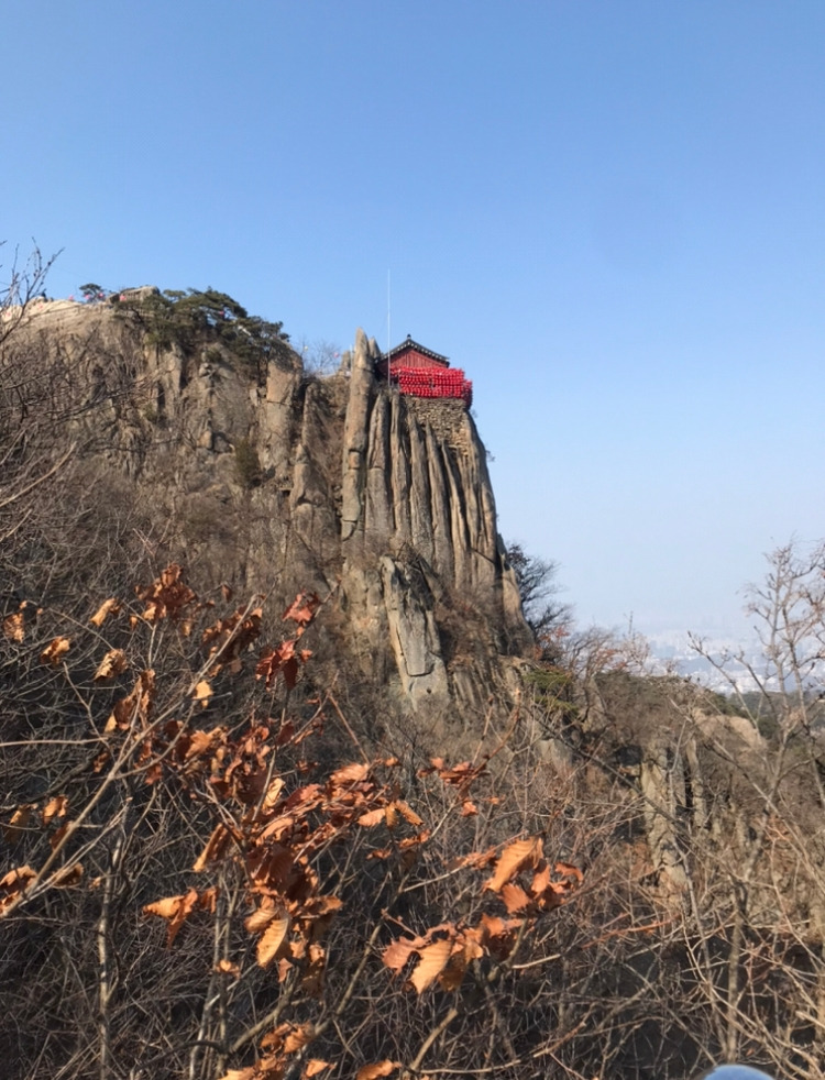 온라인 카지노 게임