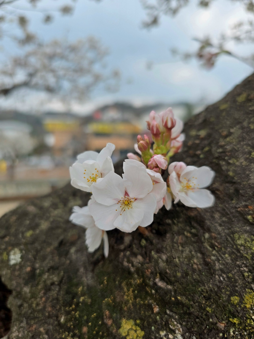카지노 게임