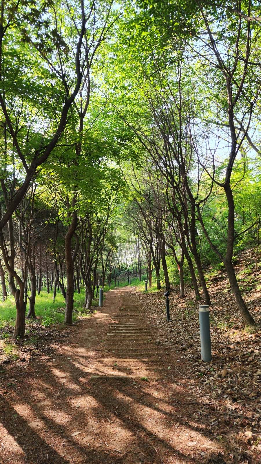 카지노 게임 추천