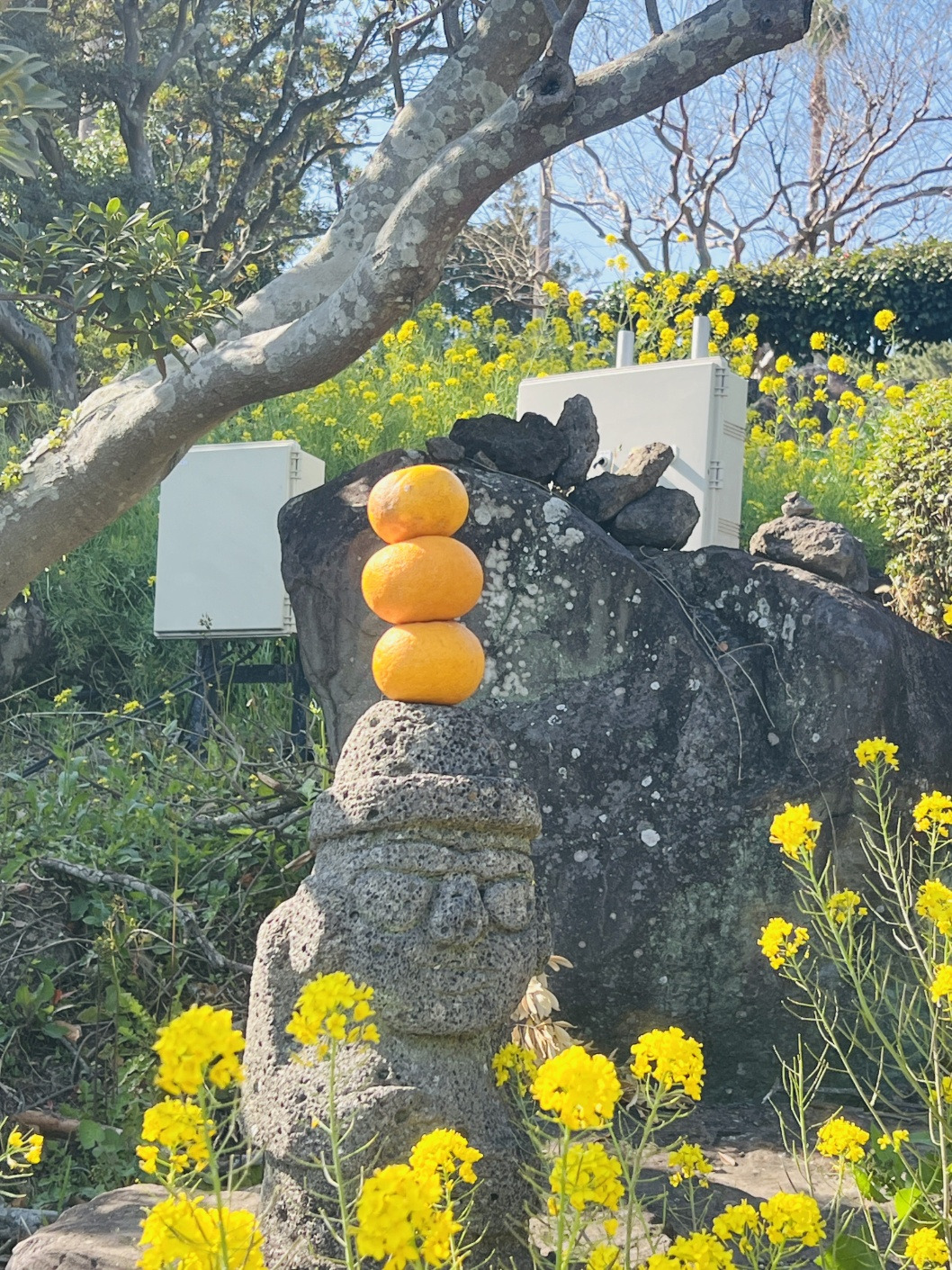 카지노 쿠폰