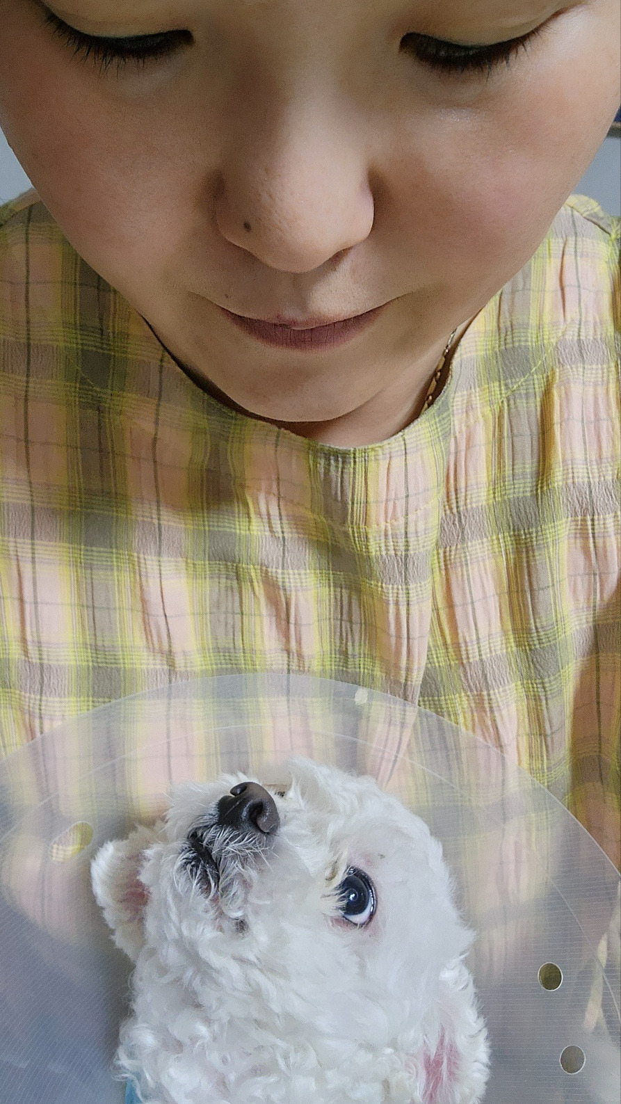 카지노 쿠폰