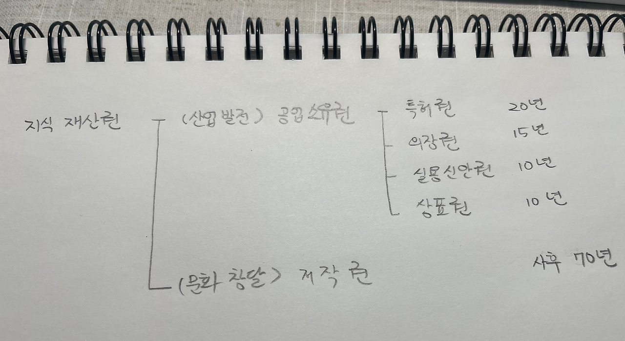 카지노 쿠폰