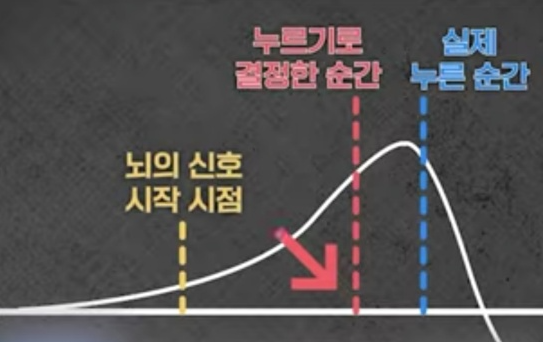 온라인 카지노 사이트