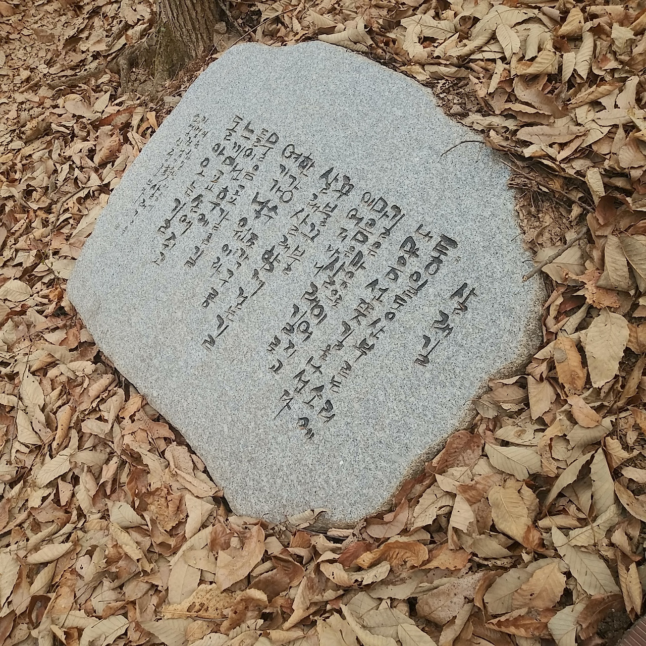 무료 카지노 게임