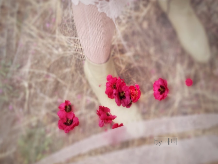 카지노 쿠폰