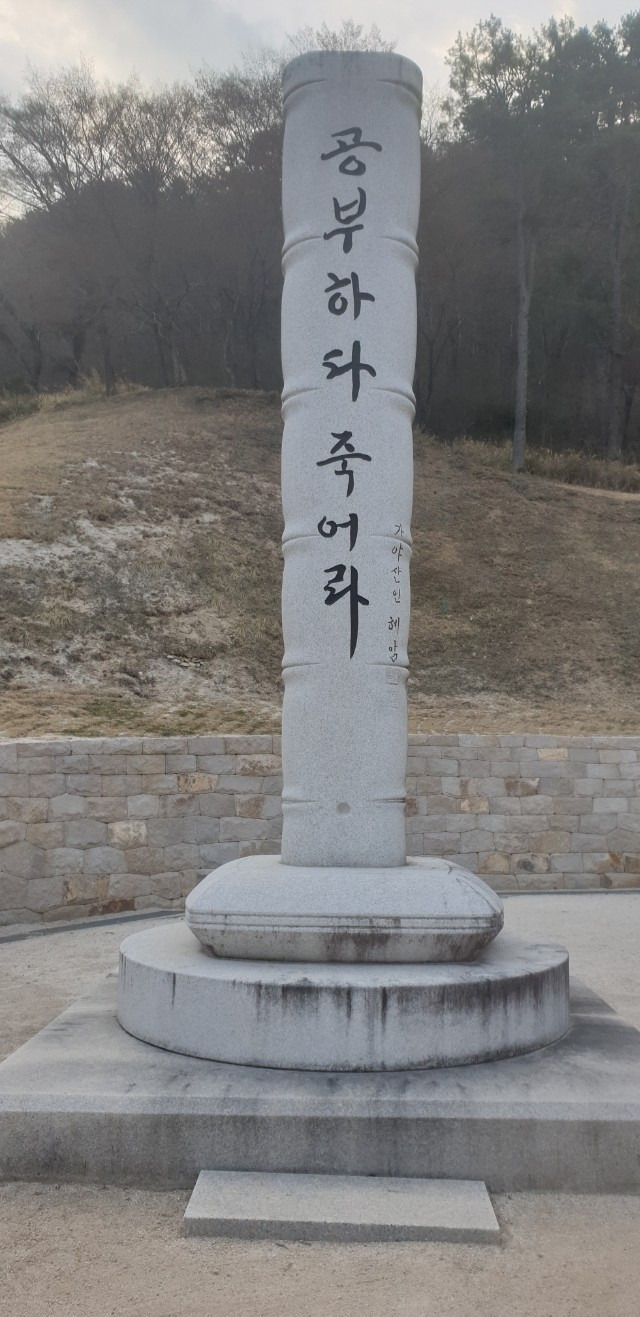 무료 카지노 게임